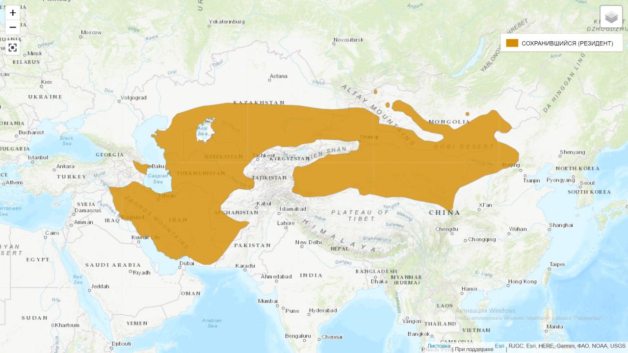 Распространение джейранов в мире и в Казахстане